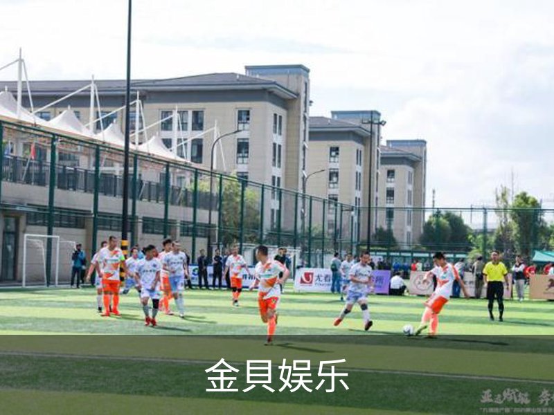 金貝娱乐简介